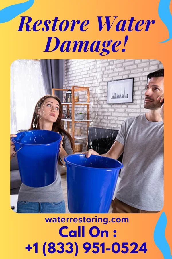 water restoration Premier Disaster Cleanup Inc Elderton