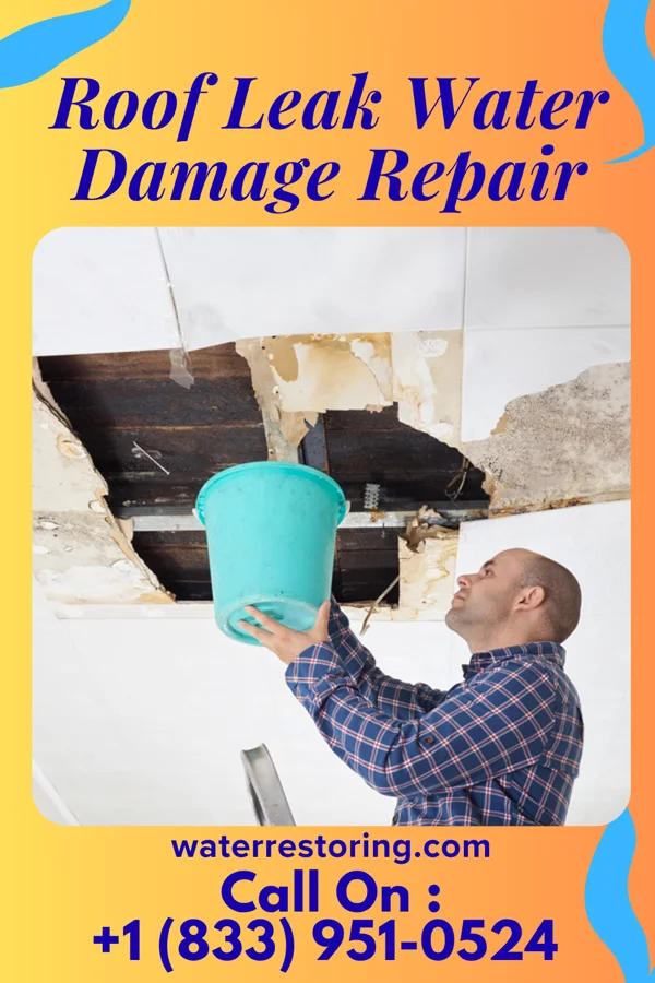 Roof Leak Water Damage Repair in Elderton, PA