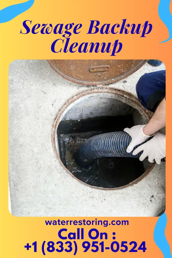 Sewage Backup Cleanup in Elderton, PA